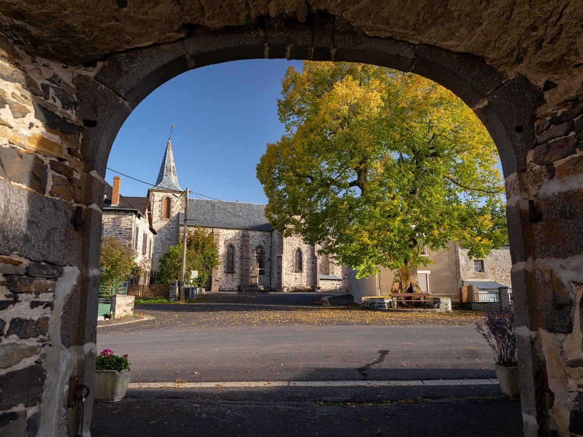 Et si ce magnifique tilleul du Cantal était élu « arbre de l'année » ?